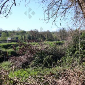 Elsenham development site shows hedge removal and soil piles