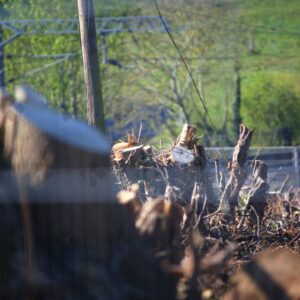 Elsenham development site shows hedge removal and soil piles