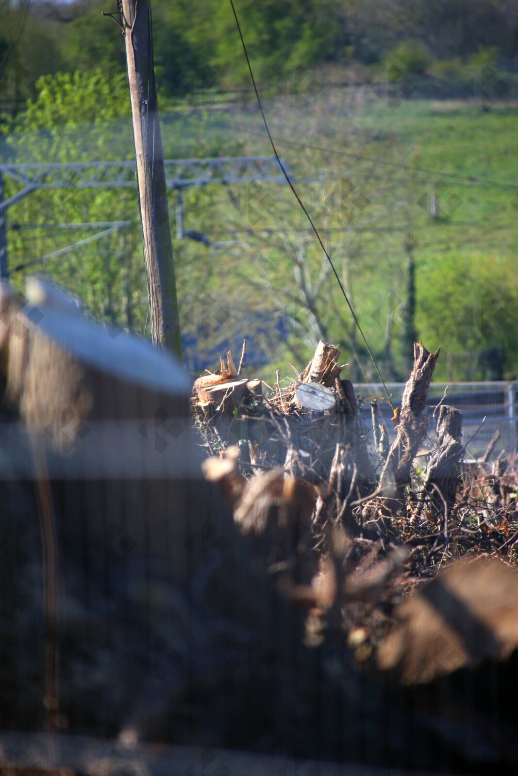 Elsenham development site shows hedge removal and soil piles