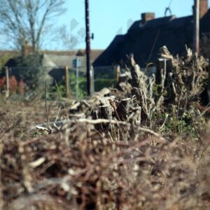 Elsenham development site shows hedge removal and soil piles