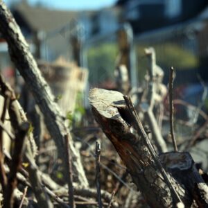 Elsenham development site shows hedge removal and soil piles