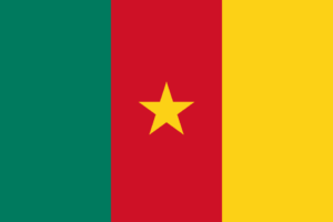 Flag of Cameroon