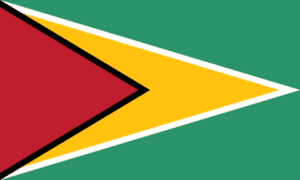 Flag of Guyana